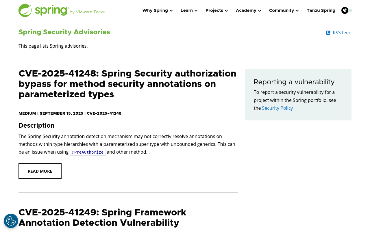 spring security advisories